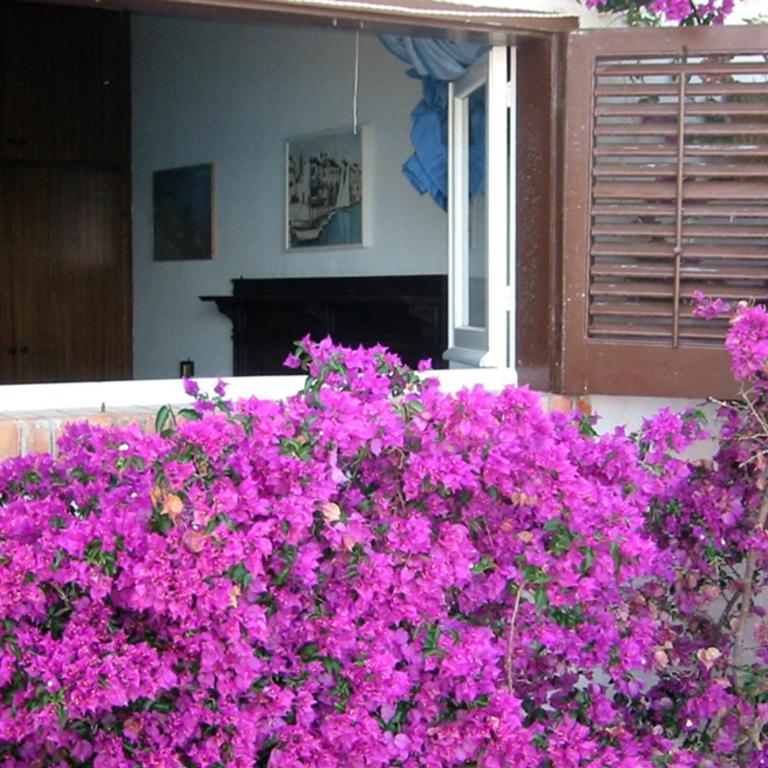 Villa Tonnara - Villa Fronte Spiaggia - 21