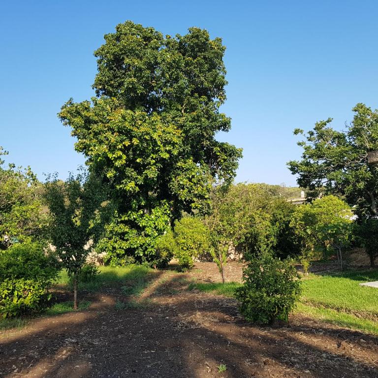 Villa Fructus - Villa con Piscina Privata - 13