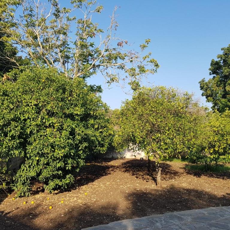 Villa Fructus - Villa con Piscina Privata - 15