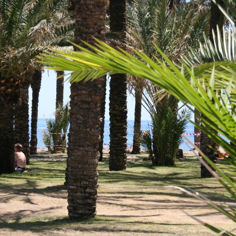 Apartamento El Remo - Apartamento Dúplex - 33
