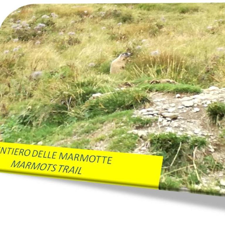 Marmot Apartment - Maisonette-Apartment - 27