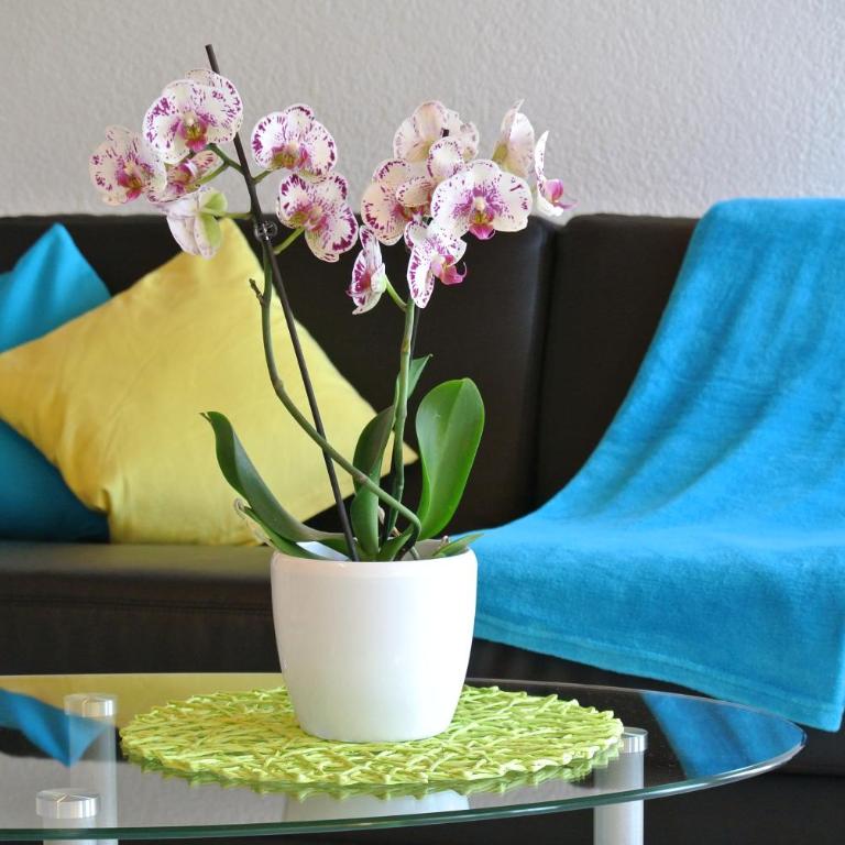 Haus Artemis - Apartamento con balcón - 10