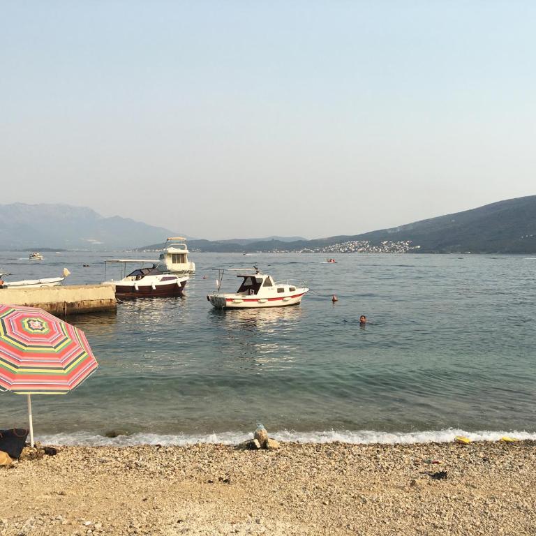 Villa Pavlović - Superior Villa - 47