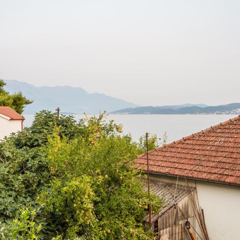 Villa Pavlović - Superior Villa - 44