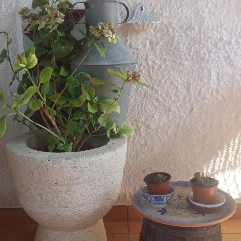 Villa La Campagnedda - Villa Deluxe - 14