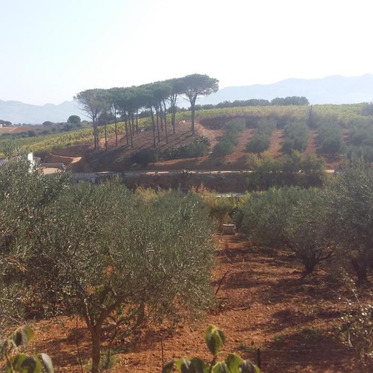 Villa La Campagnedda - Villa Deluxe - 33