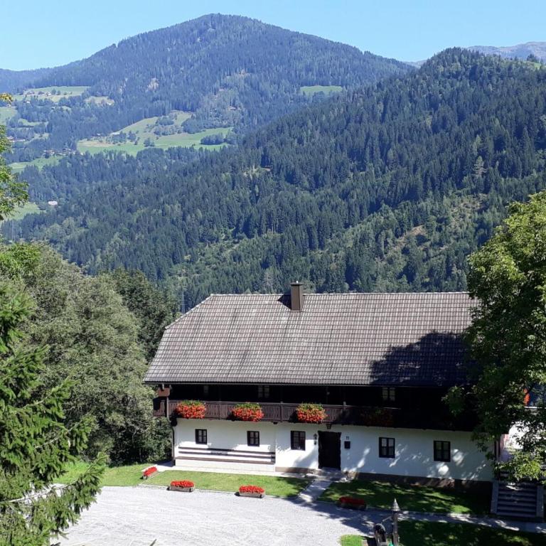 Appartements Grafhube - Ferienhaus - 1