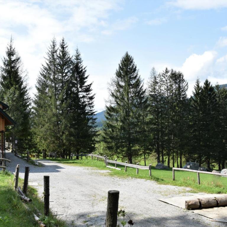 Ferienhaus Dirnbacher Hütte - Familienzimmer mit Balkon - 11