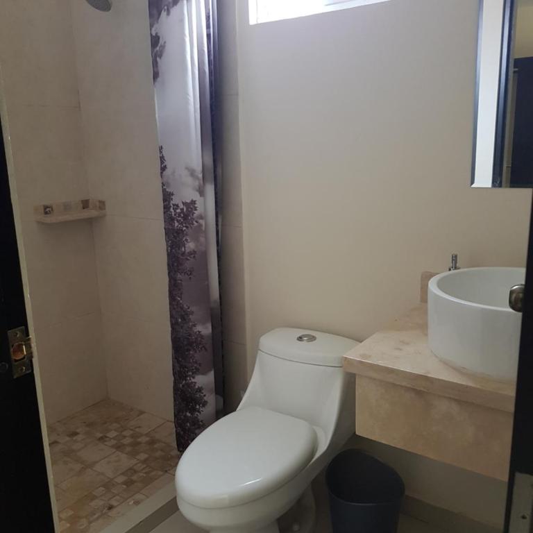 Departamento zona dorada - Two-Bedroom Apartment - 13