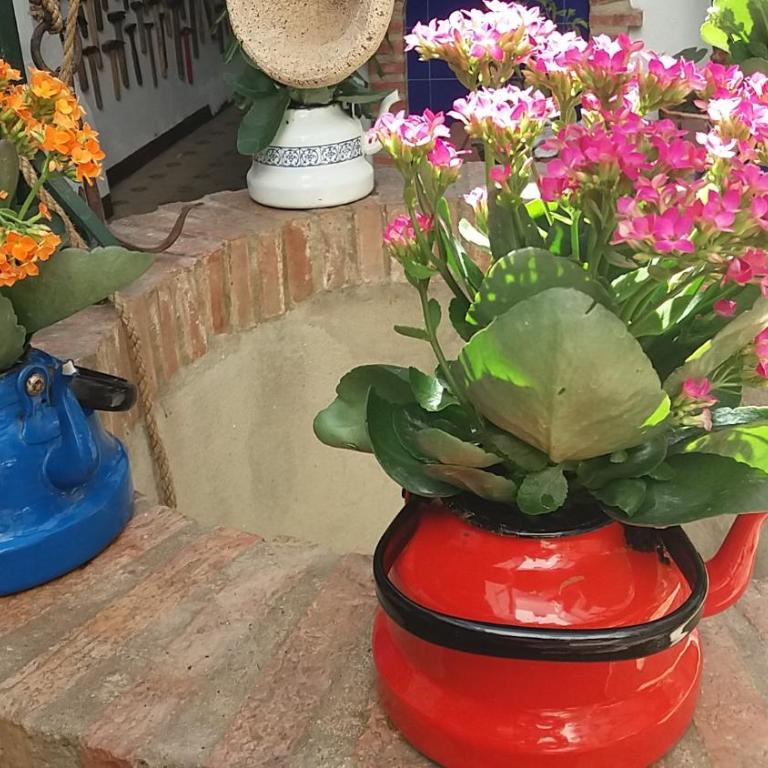 Casa Museo Jerez Centro - Apartamento de 1 dormitorio - 73