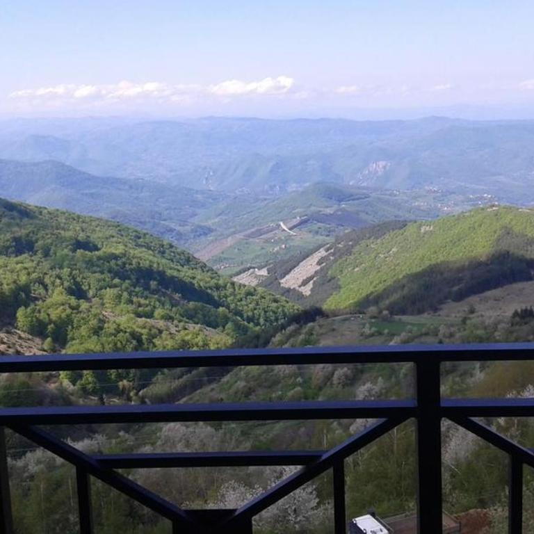 Astoria Lux - K16 Milmari - Apartment - Ground Floor - 71