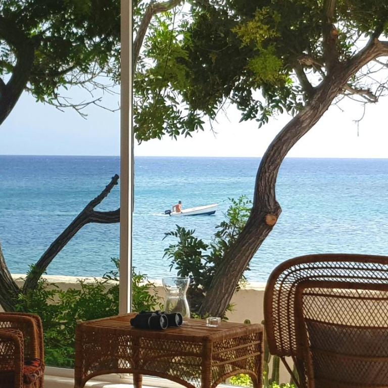 Loro Verde - Villa frente a la playa - 48
