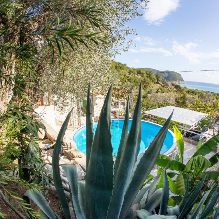 Apartments Mirian - Apartment with Sea View - 1