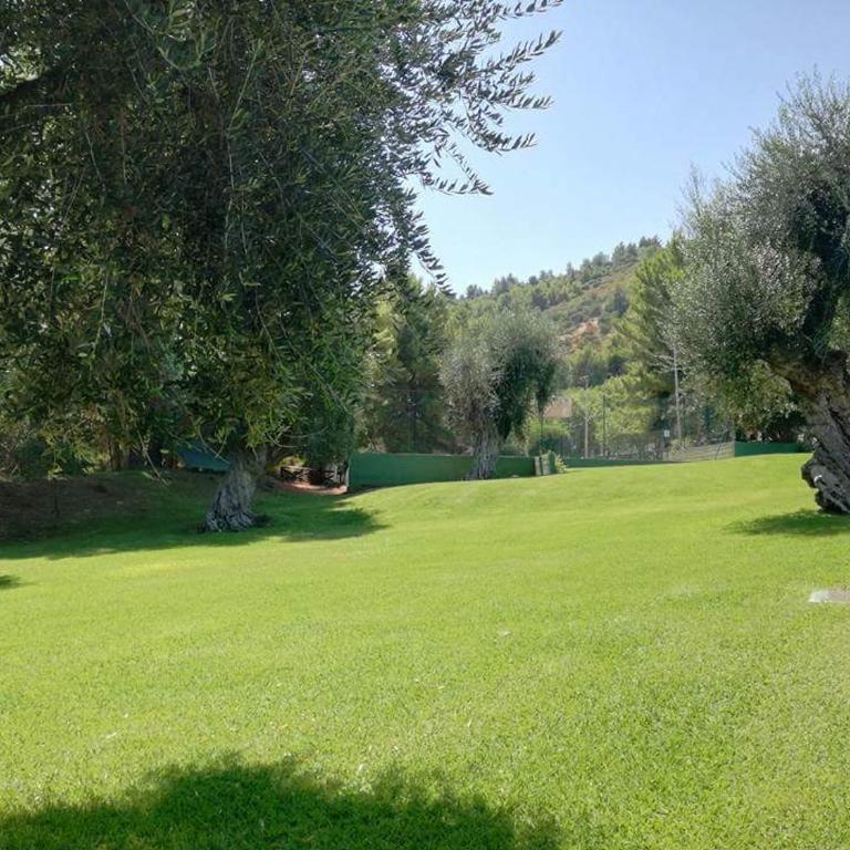 Villetta Danila Pugnochiuso Le Macine - Casa con 1 Camera da Letto - 43