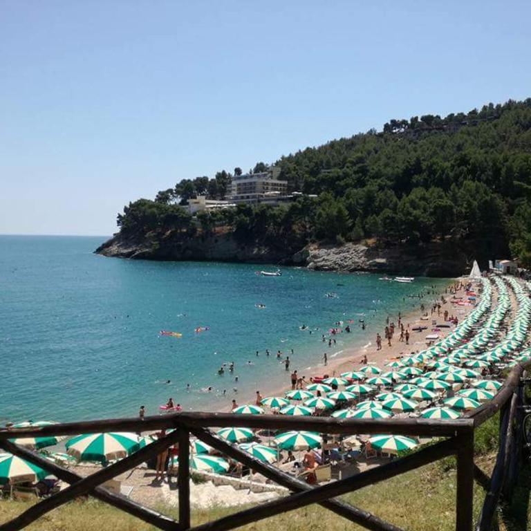 Villetta Danila Pugnochiuso Le Macine - Casa con 1 Camera da Letto - 54