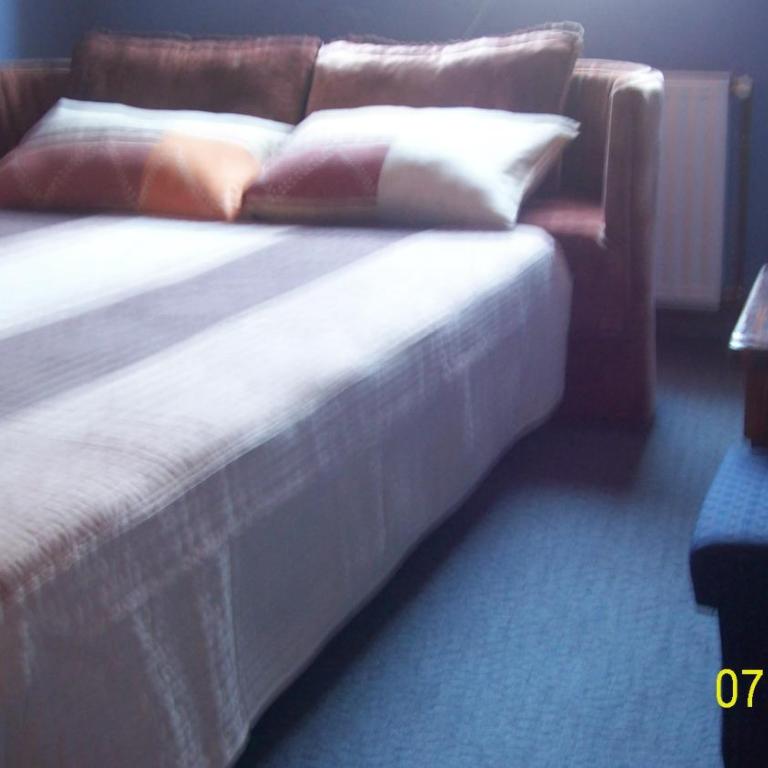 Room Apartments Stari Konak - Niskobudžetna Dvokrevetna Soba sa Bračnim Krevetom - 11