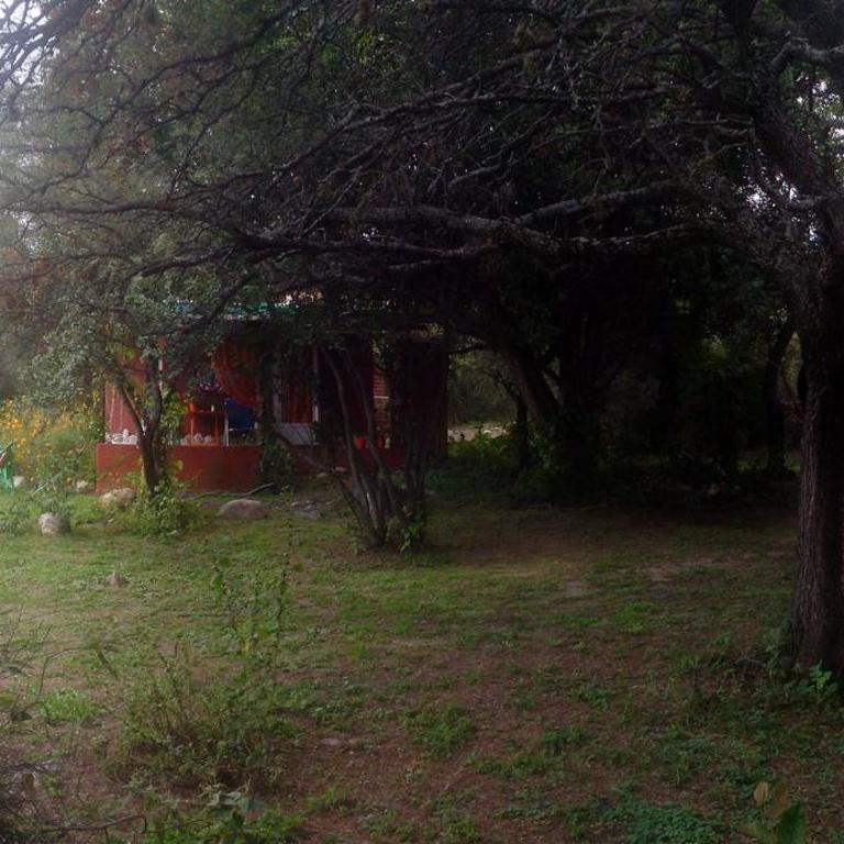 Amaltea - Casa con 1 dormitorio - 4