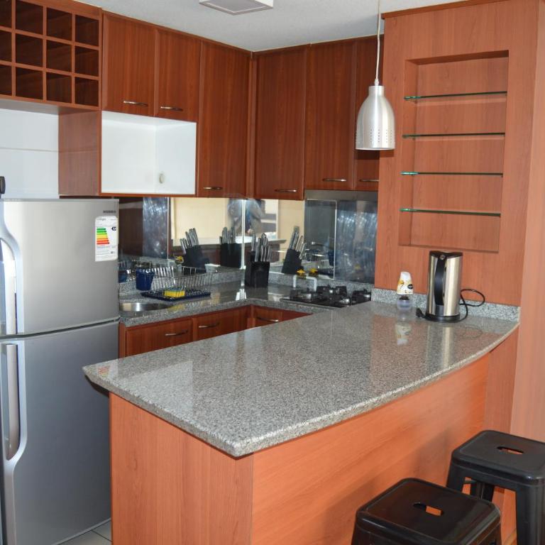 Home Valdivia Providencia - Apartamento - 15