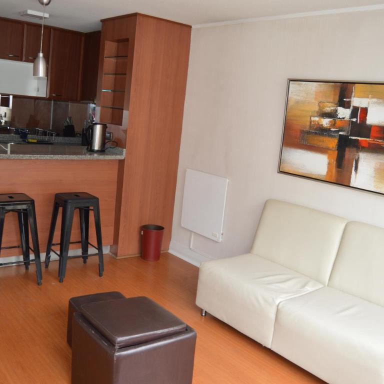 Home Valdivia Providencia - Apartamento - 13