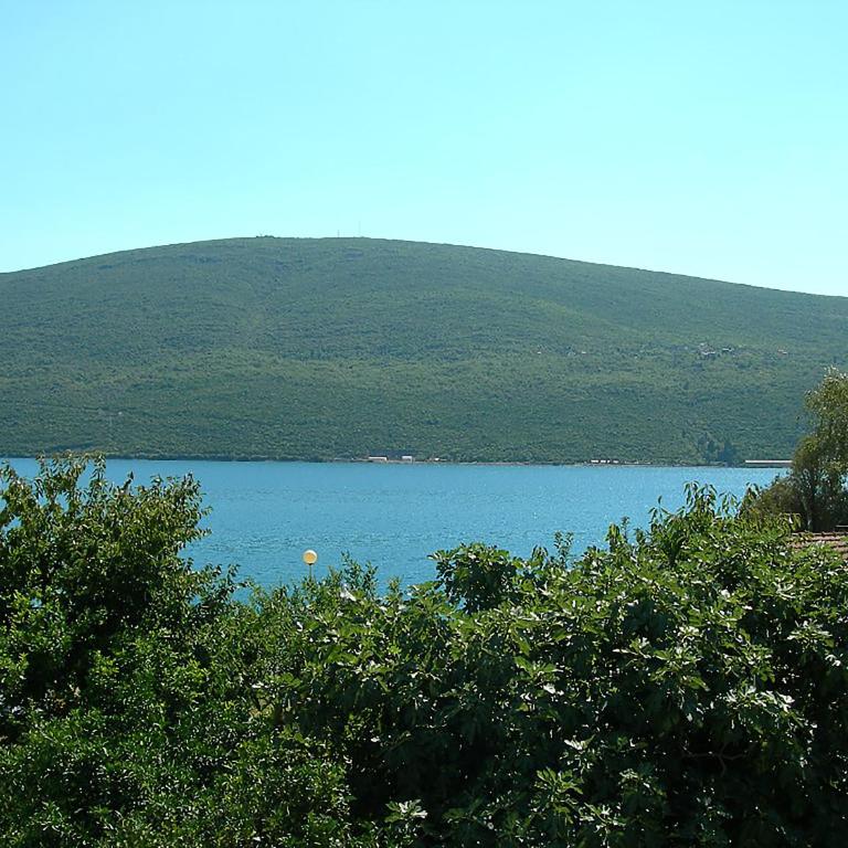 Villa Pavlović - Superior Villa - 49