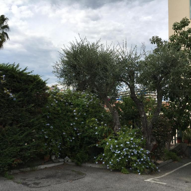 Apartment Villa Anahit - Appartement - Rez-de-Chaussée - 32