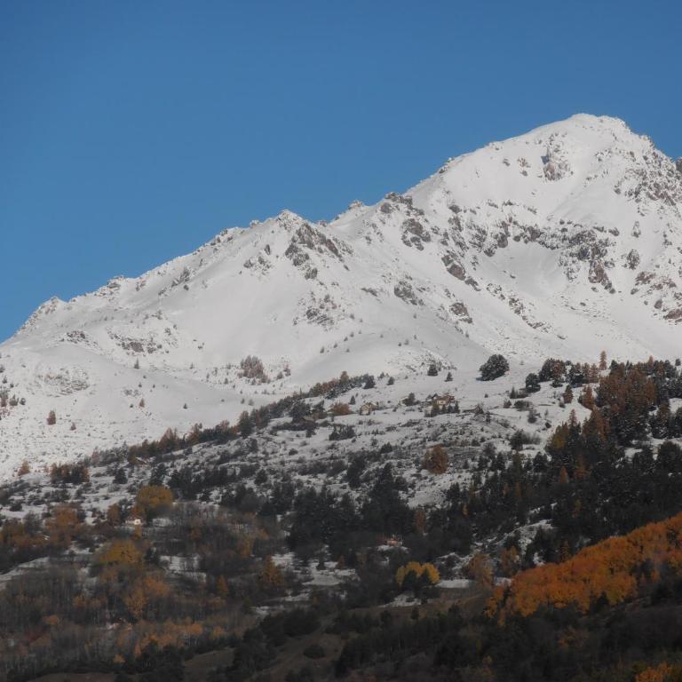 Chalet Bon Accueil - Jardin - Chalet 1 Chambre - 2