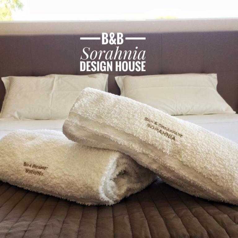B&B Sorahnia - Design House - Camera Superior Matrimoniale/Doppia con Letti Singoli con Terrazza - 5