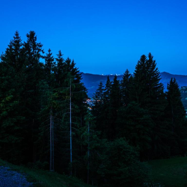 Bergpension-Ebental - Dreibettzimmer mit Aussicht - 2