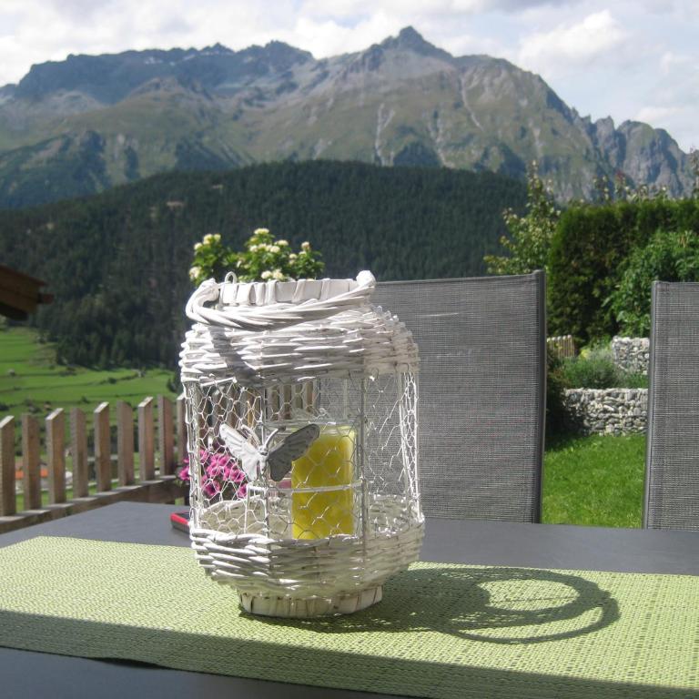 Haus Vlcek - Apartment mit Blick auf die Berge - 25