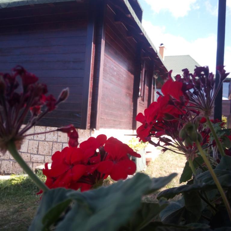 Vila Kraljev sto - Deluks Vila - 7