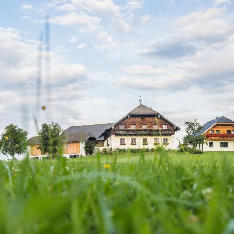 Biohof Poinsitgut - Doppelzimmer mit Bergblick - 1