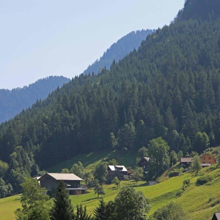 Hotel - Restaurant Gosauerhof - Einzelzimmer mit Bergblick - 4