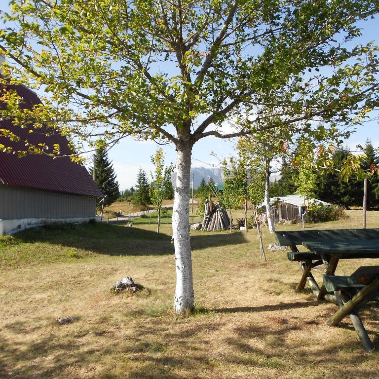 Žabljak izdavanje kuce - Three-Bedroom House - 23