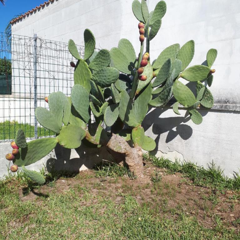 Villetta Lucia - Casa con 2 Camere da Letto - 18