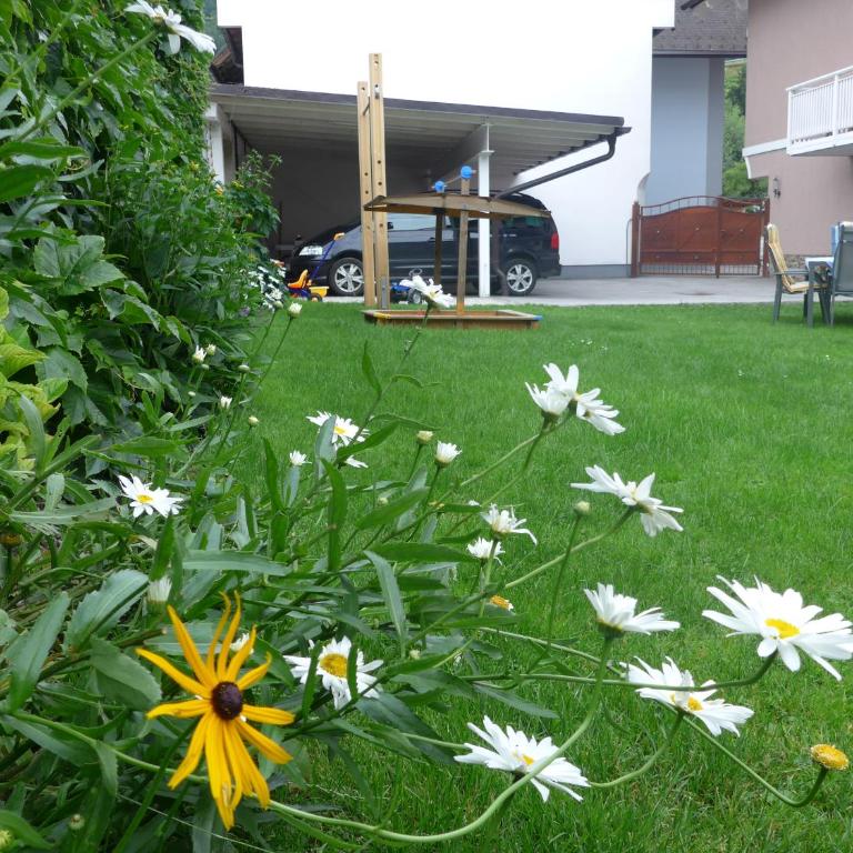 Appartement Romana - Altstadt - Apartment - Erdgeschoss - 8