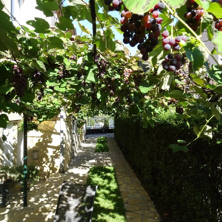 Meda Apartment - Apartman - 25