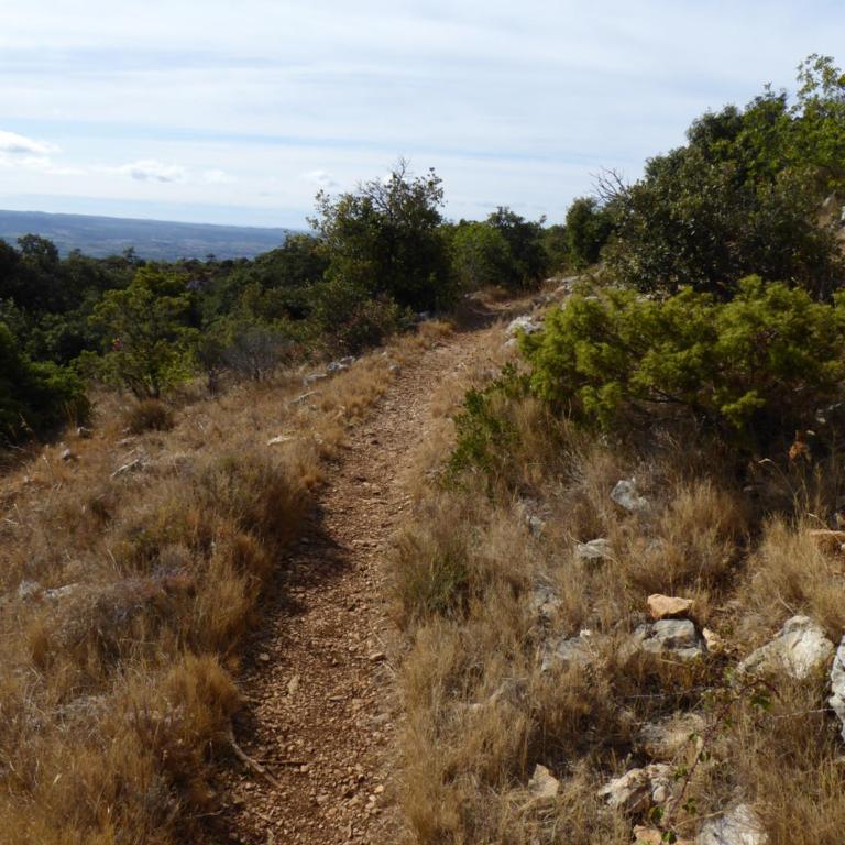 Well equipped village house close to historic centre - Pézenas - Maison de Vacances - 61