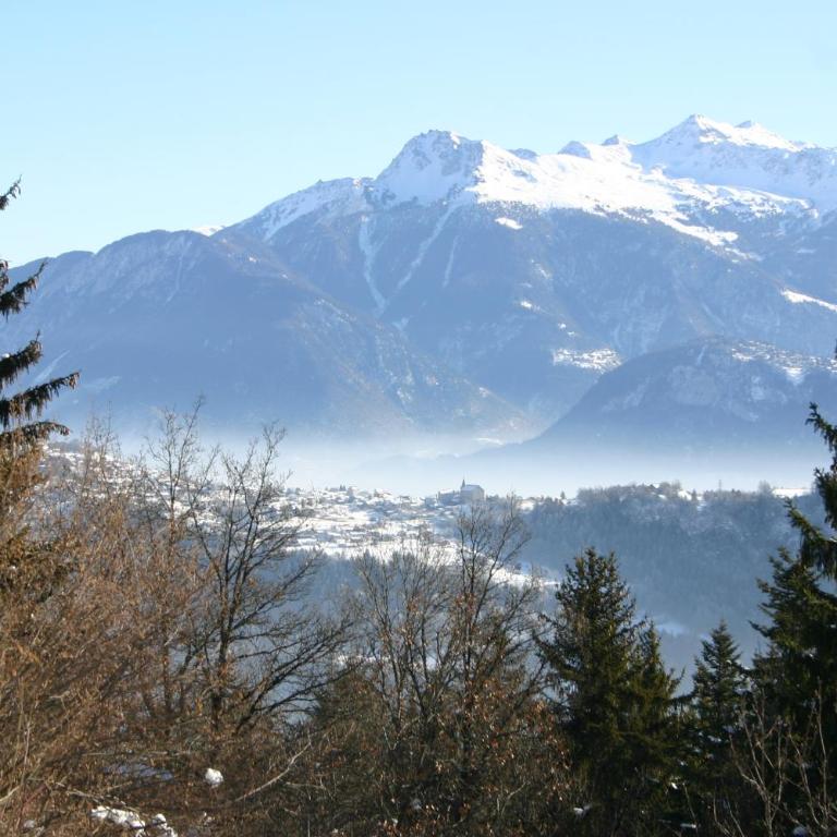 Chalet Domaine de la Famille te Arbaz - Ferienhaus - 48