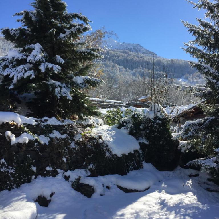 Le petit Saint Bernard - Appartement 2 Chambres - 32
