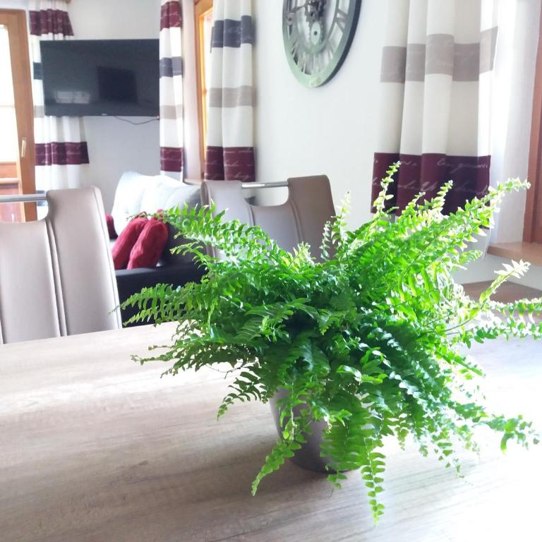 Gästeheim Pötscher - Deluxe Apartment - 3
