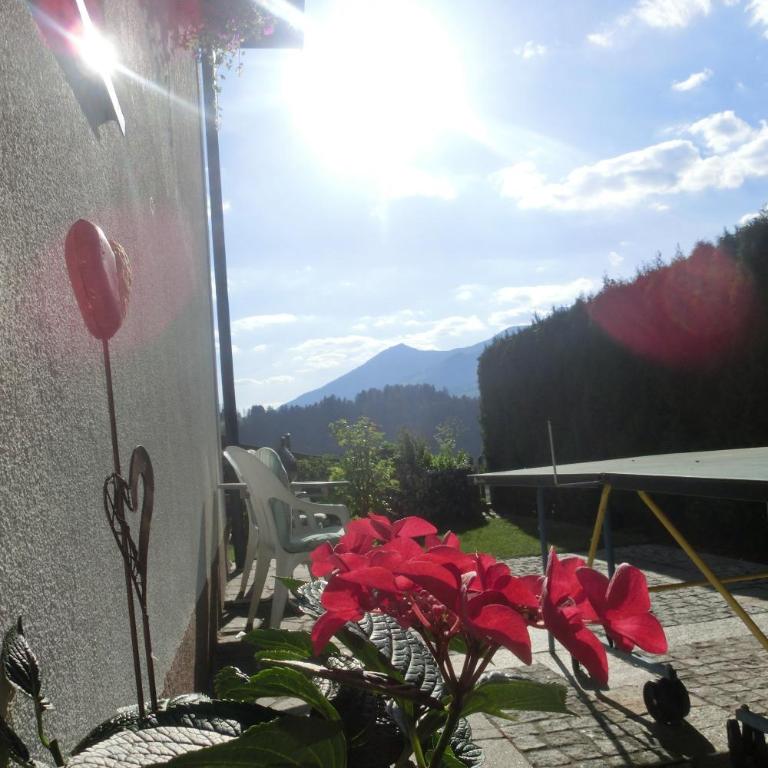 Haus Vlcek - Apartment mit Blick auf die Berge - 3