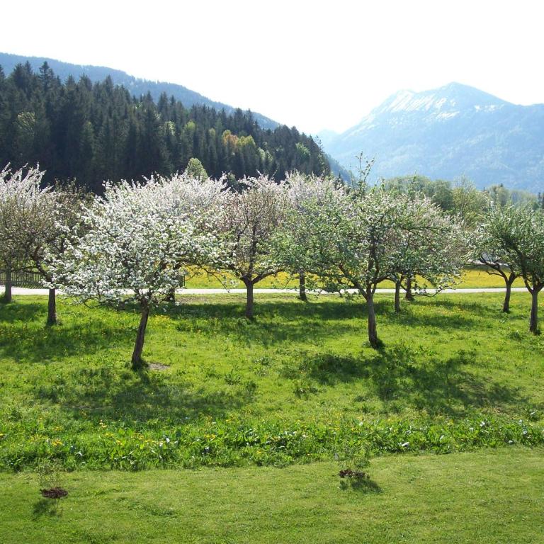 Ferienwohnung Regina Holzner - Apartment mit Blick auf die Berge - 30