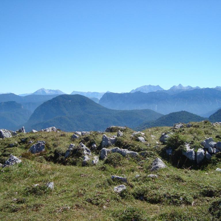Ferienwohnung Regina Holzner - Apartment mit Blick auf die Berge - 40