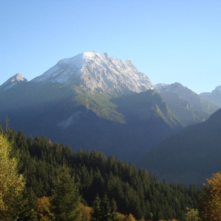 Ferienwohnung Regina Holzner - Apartment mit Blick auf die Berge - 54