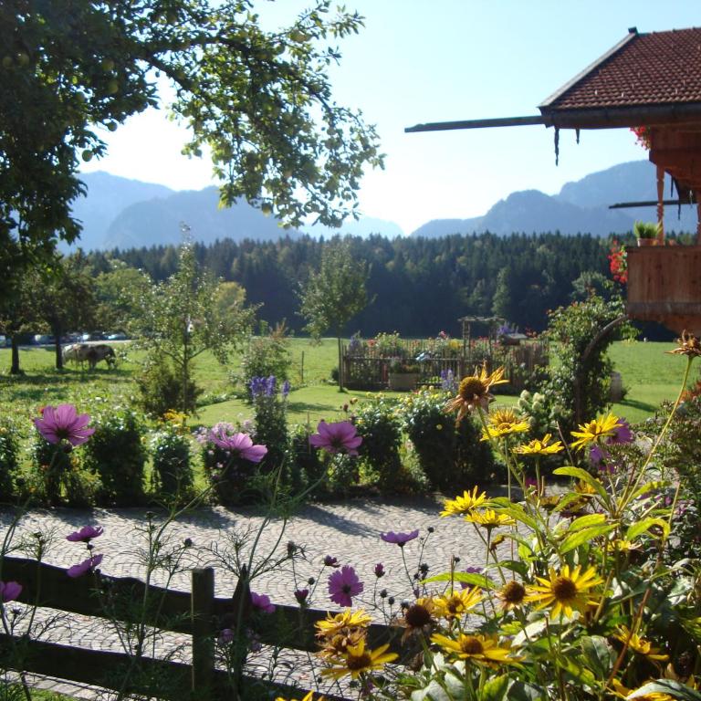 Ferienwohnung Regina Holzner - Apartment mit Blick auf die Berge - 7