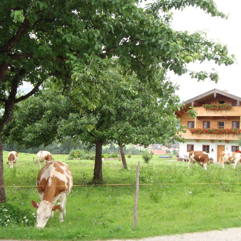 Ferienwohnung Regina Holzner - Apartment mit Blick auf die Berge - 15