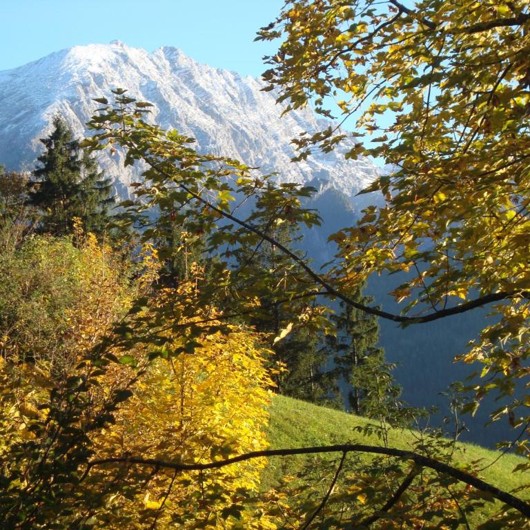 Ferienwohnung Regina Holzner - Apartment mit Blick auf die Berge - 65