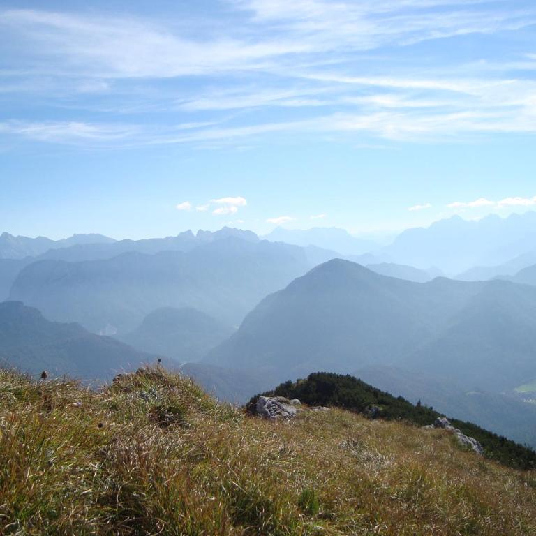 Ferienwohnung Regina Holzner - Apartment mit Blick auf die Berge - 67