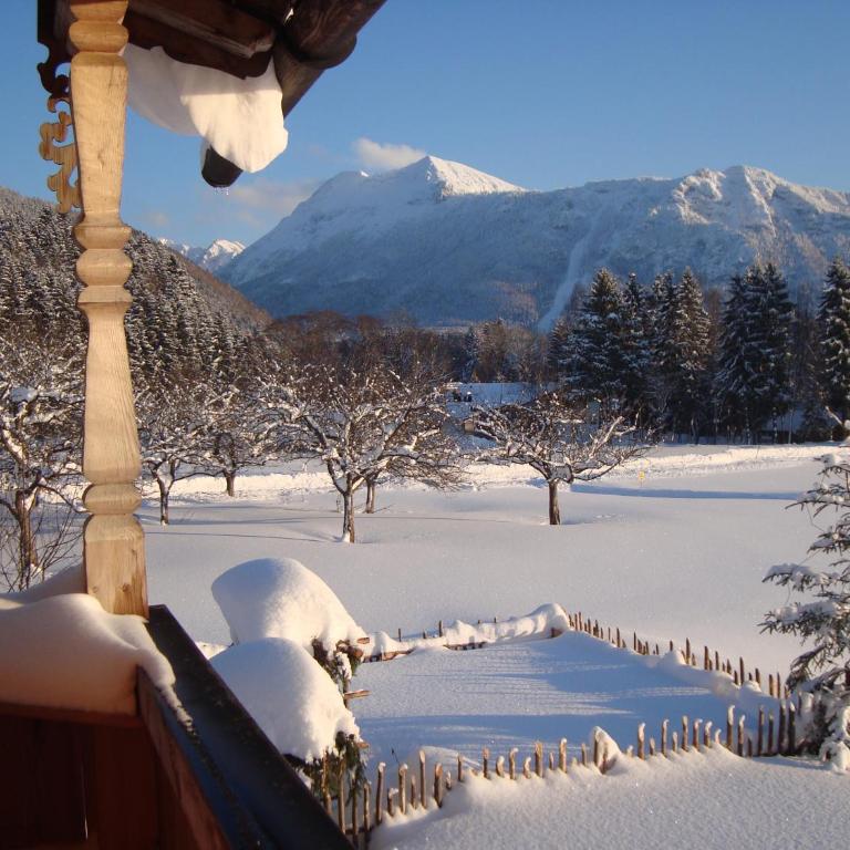 Ferienwohnung Regina Holzner - Apartment mit Blick auf die Berge - 70