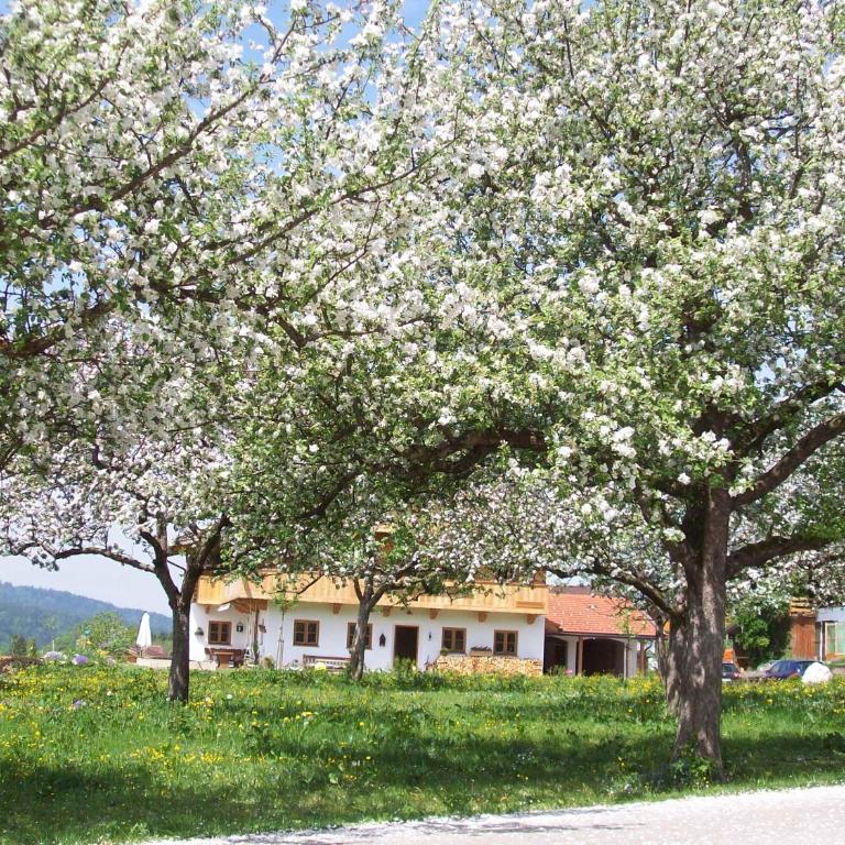 Ferienwohnung Regina Holzner - Apartment mit Blick auf die Berge - 18
